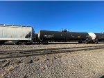 DPRX 257783